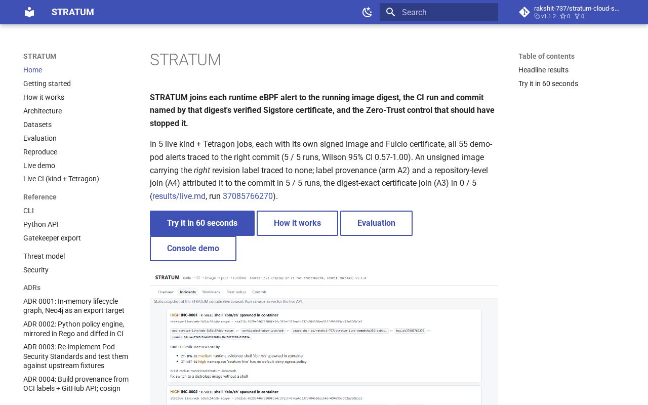 Preview of Stratum Cloud Security
