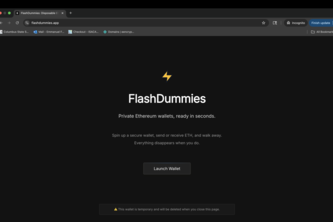 Preview of FlashDummies