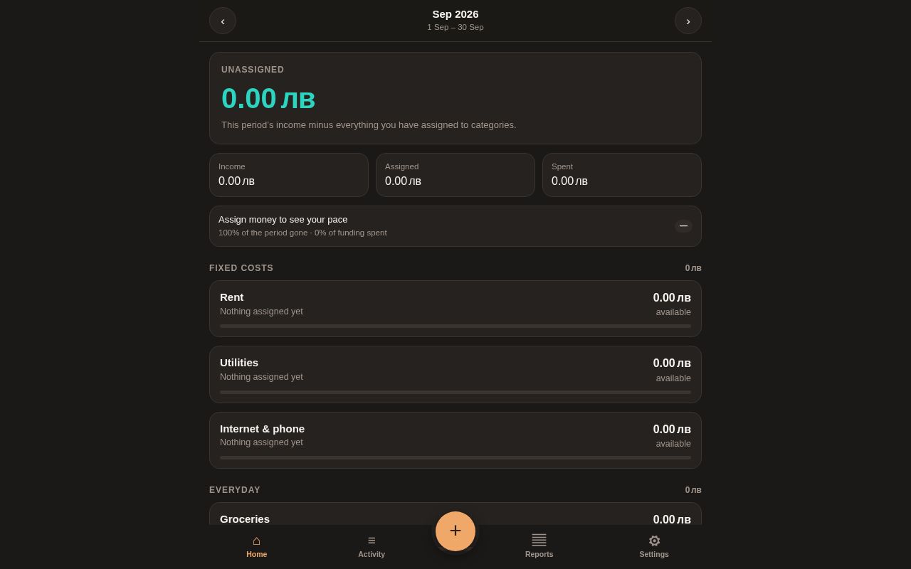 Preview of Budgetinho