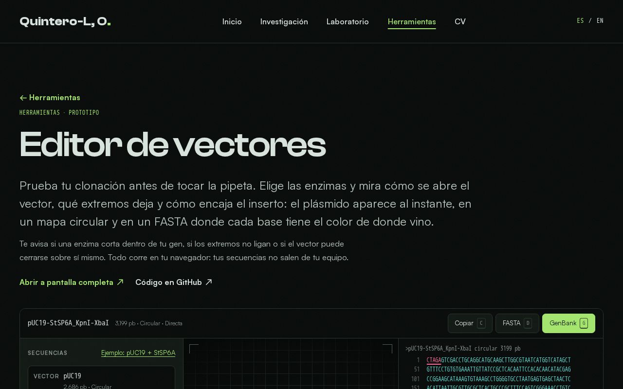 Preview of Vector Editor