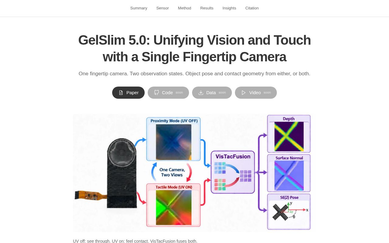 Preview of Geslim5 Website