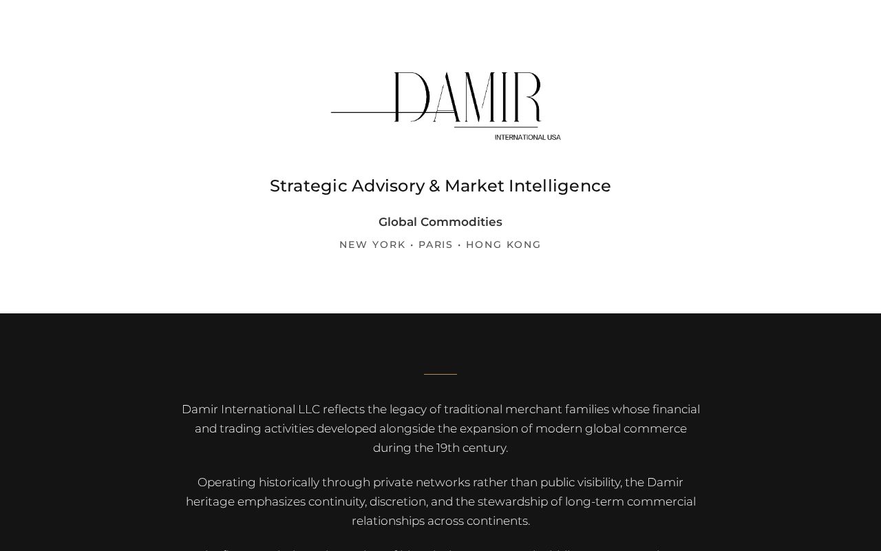 Preview of DamirInternational Github Io