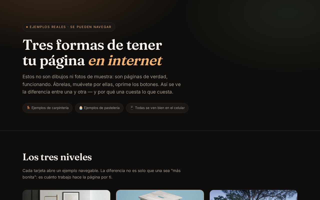 Preview of Ejemplos Paginas Web