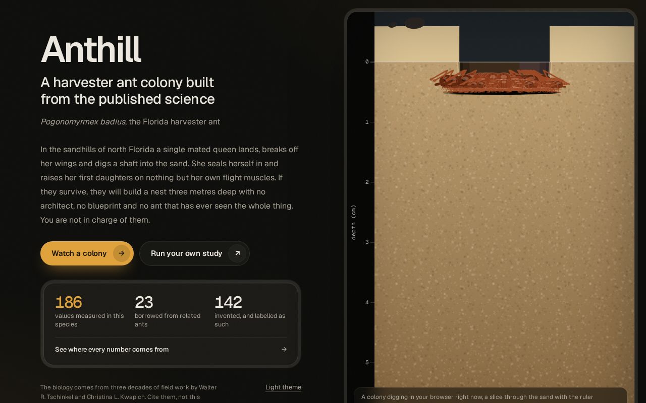 Preview of ANThill Sim