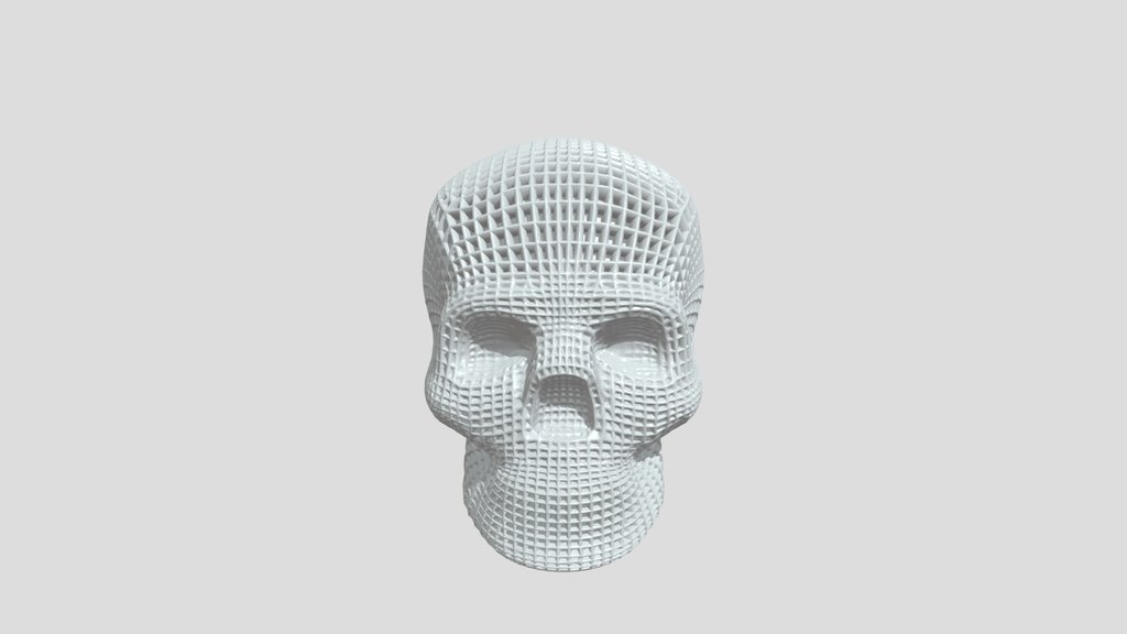 Preview of 3D grid-structured human skull