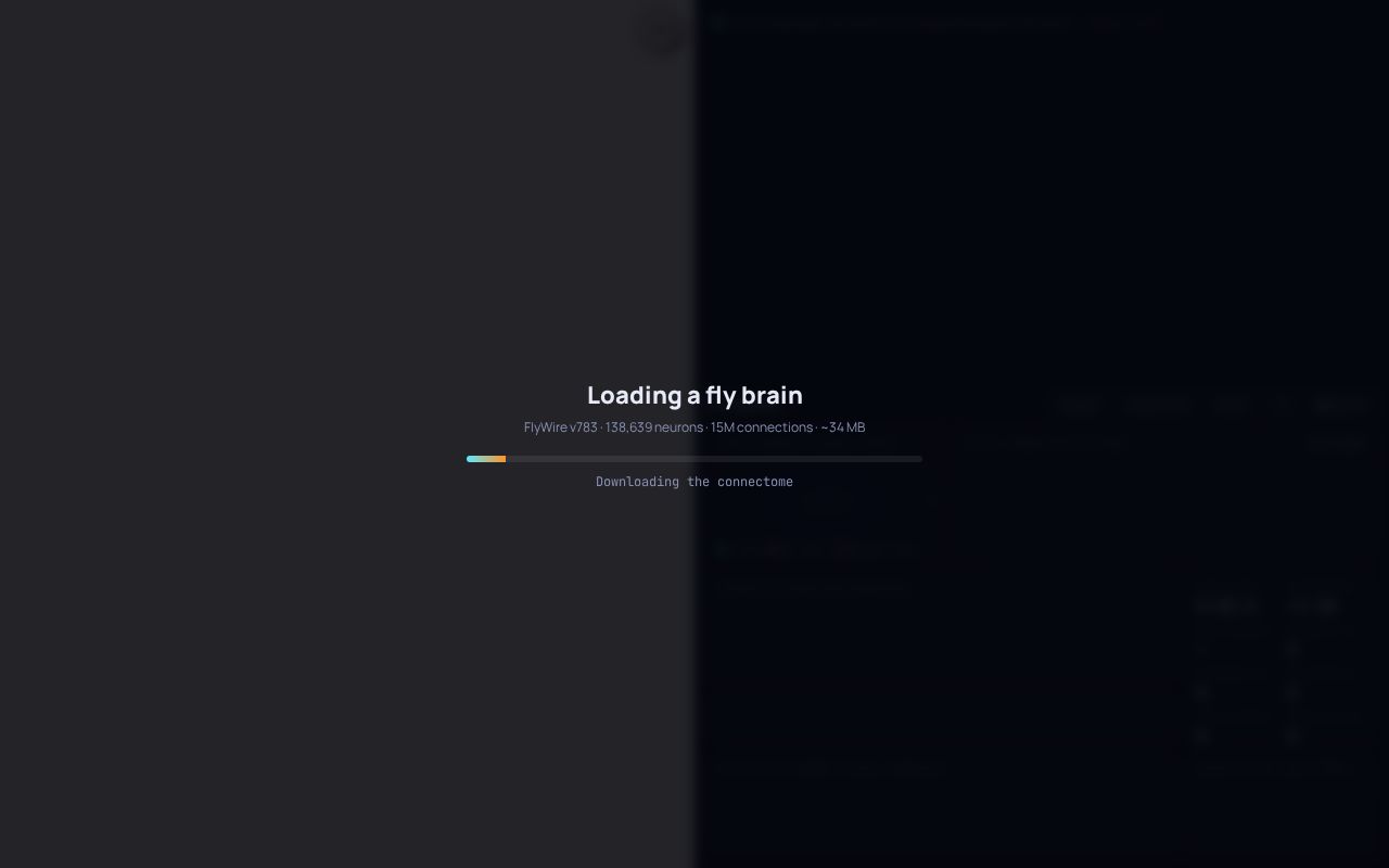 Preview of Doodle Fly