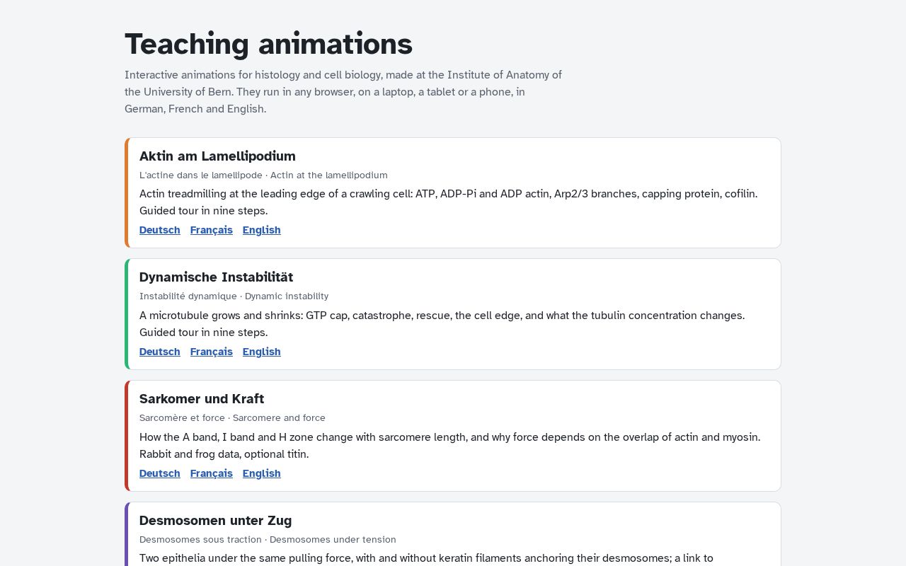 Preview of Teaching Animations