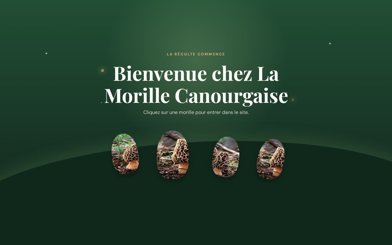 Preview of LaMorilleCanourgaise
