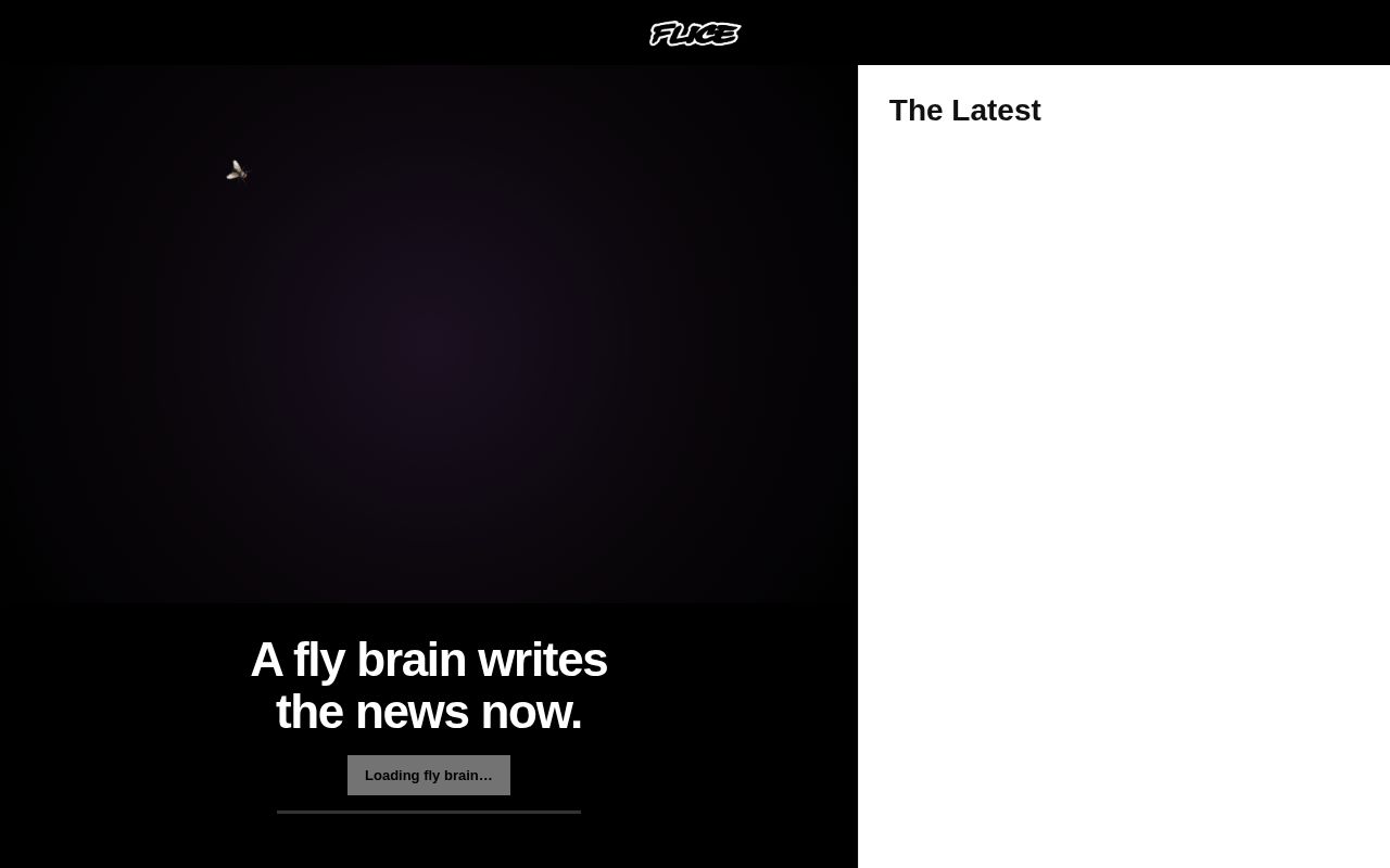 Preview of FLICE