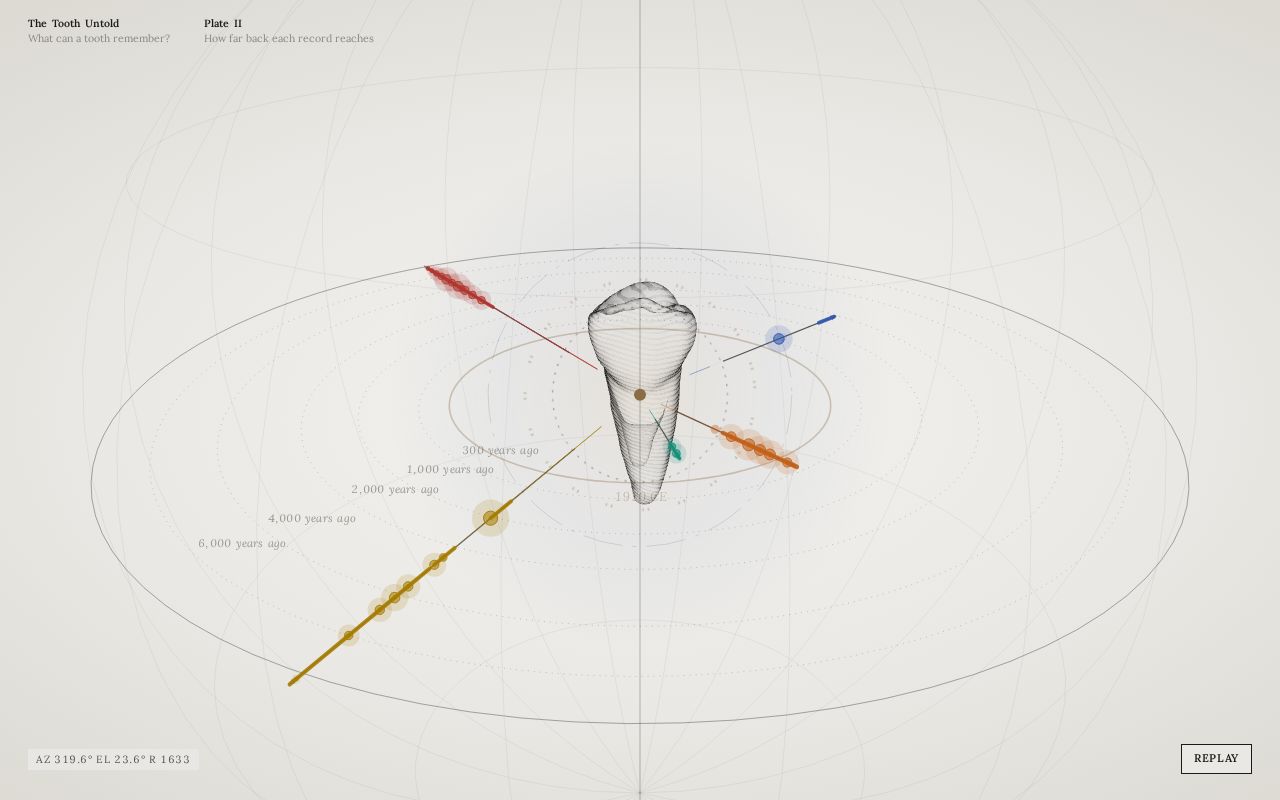 Preview of Tooth