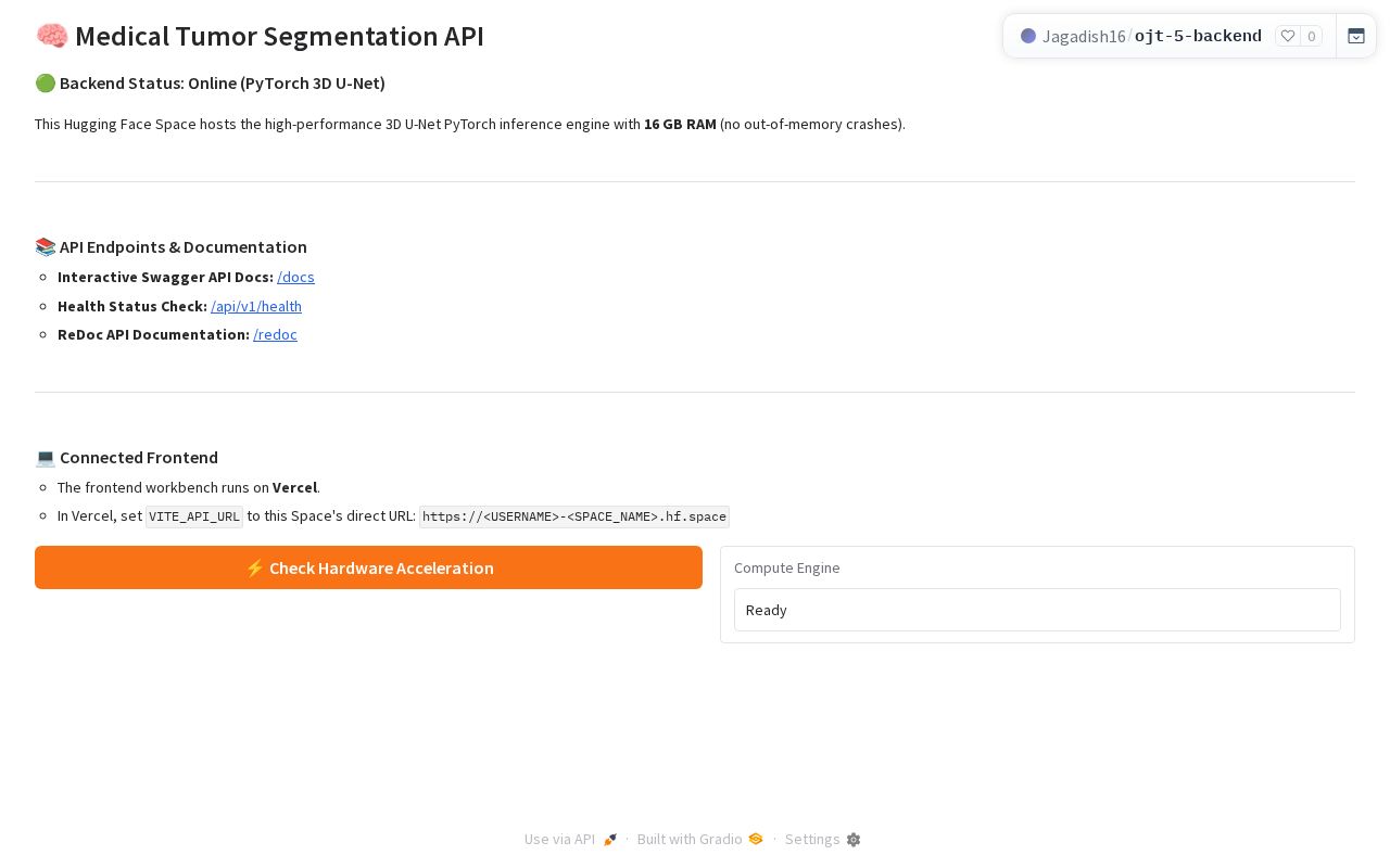 Preview of Medical Tumor Segmentation API