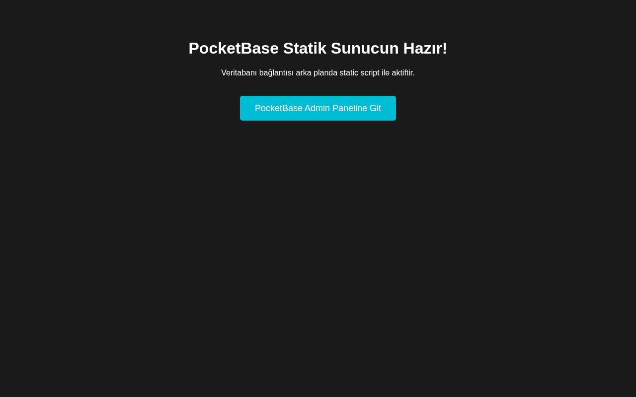 Preview of Benim Pocketbase Server