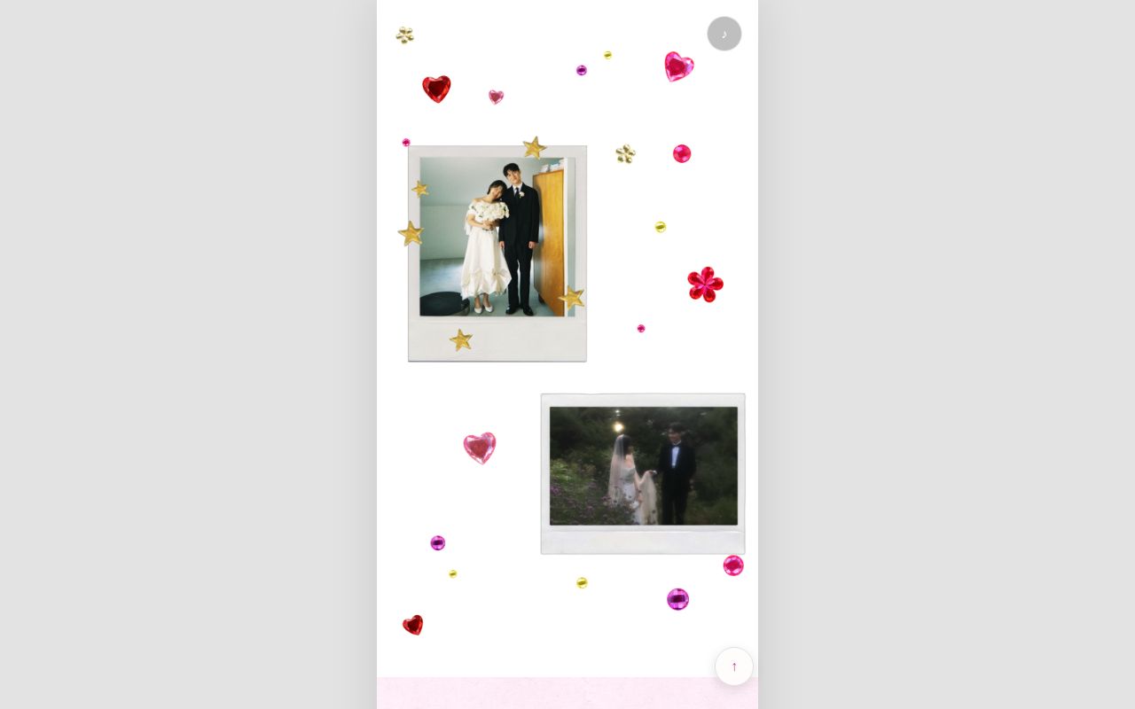 Preview of Wedding 270116