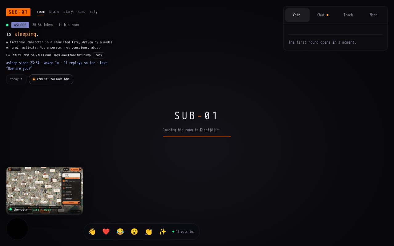 Preview of Sub 01 Brain