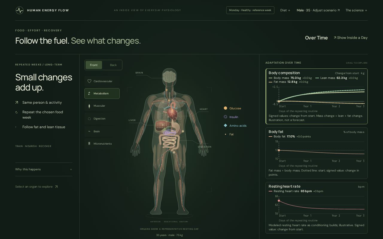 Preview of Human Energy Flow