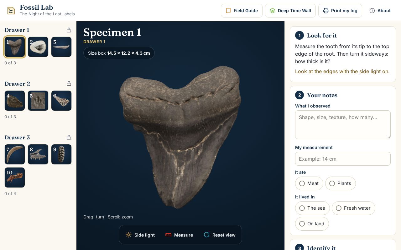 Preview of Fossil Lab