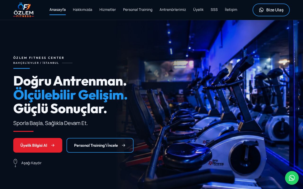 Preview of Ozlemfitness Web