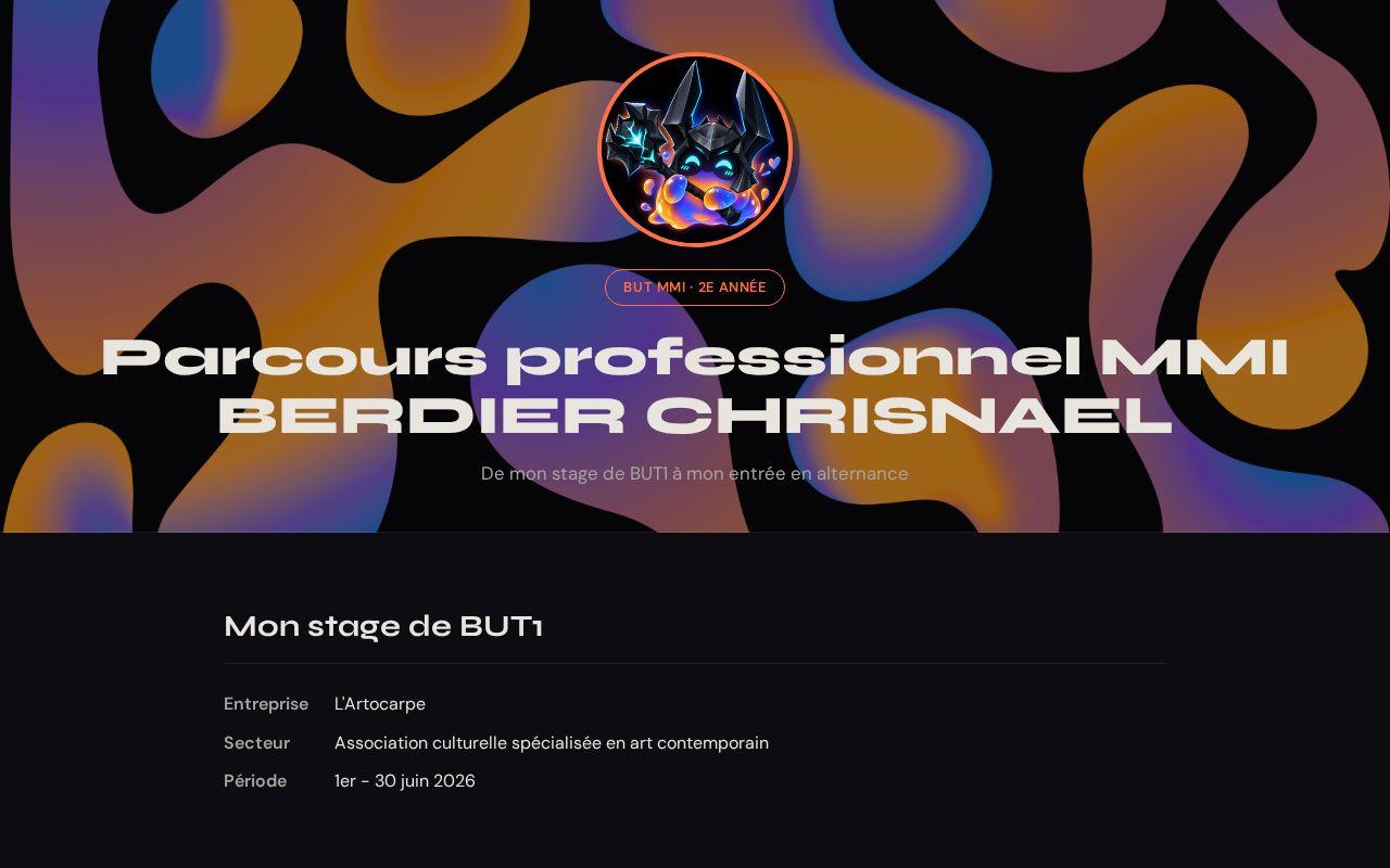 Preview of Parcours Pro Mmi Berdier Chrisnael