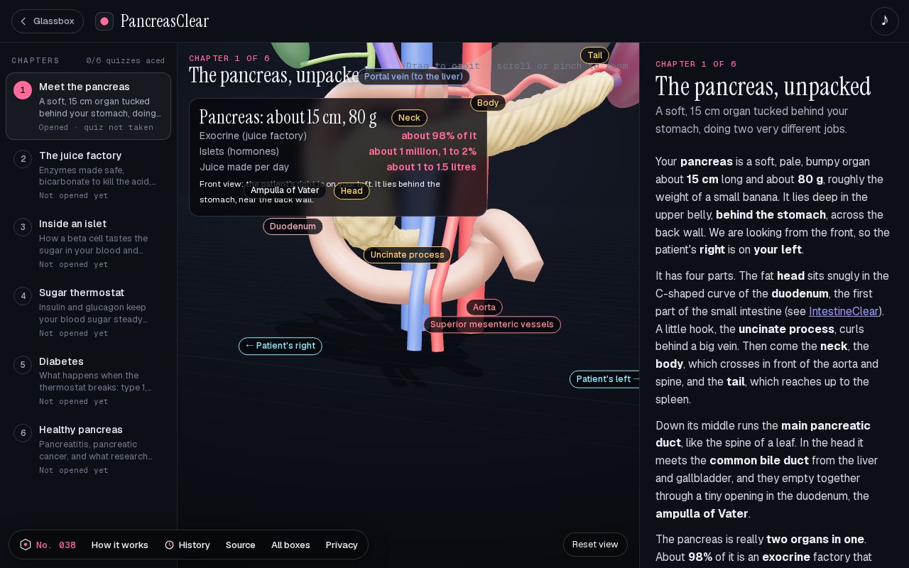 Preview of PancreasClear: How does the pancreas work?