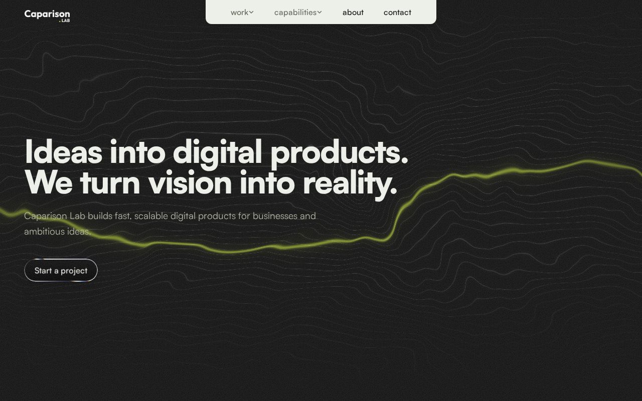 Preview of Caparison Lab Portfolio