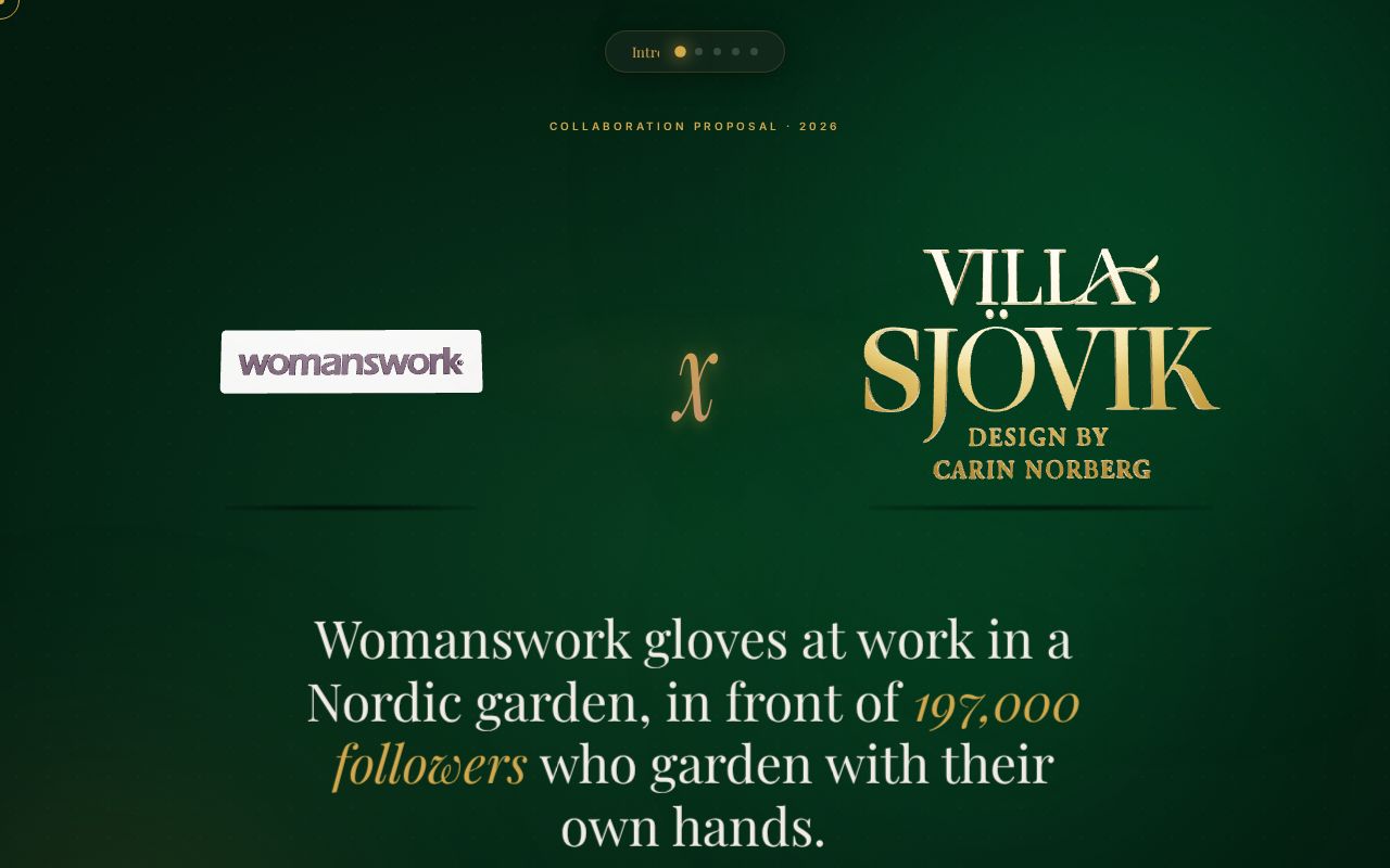 Preview of Womanswork