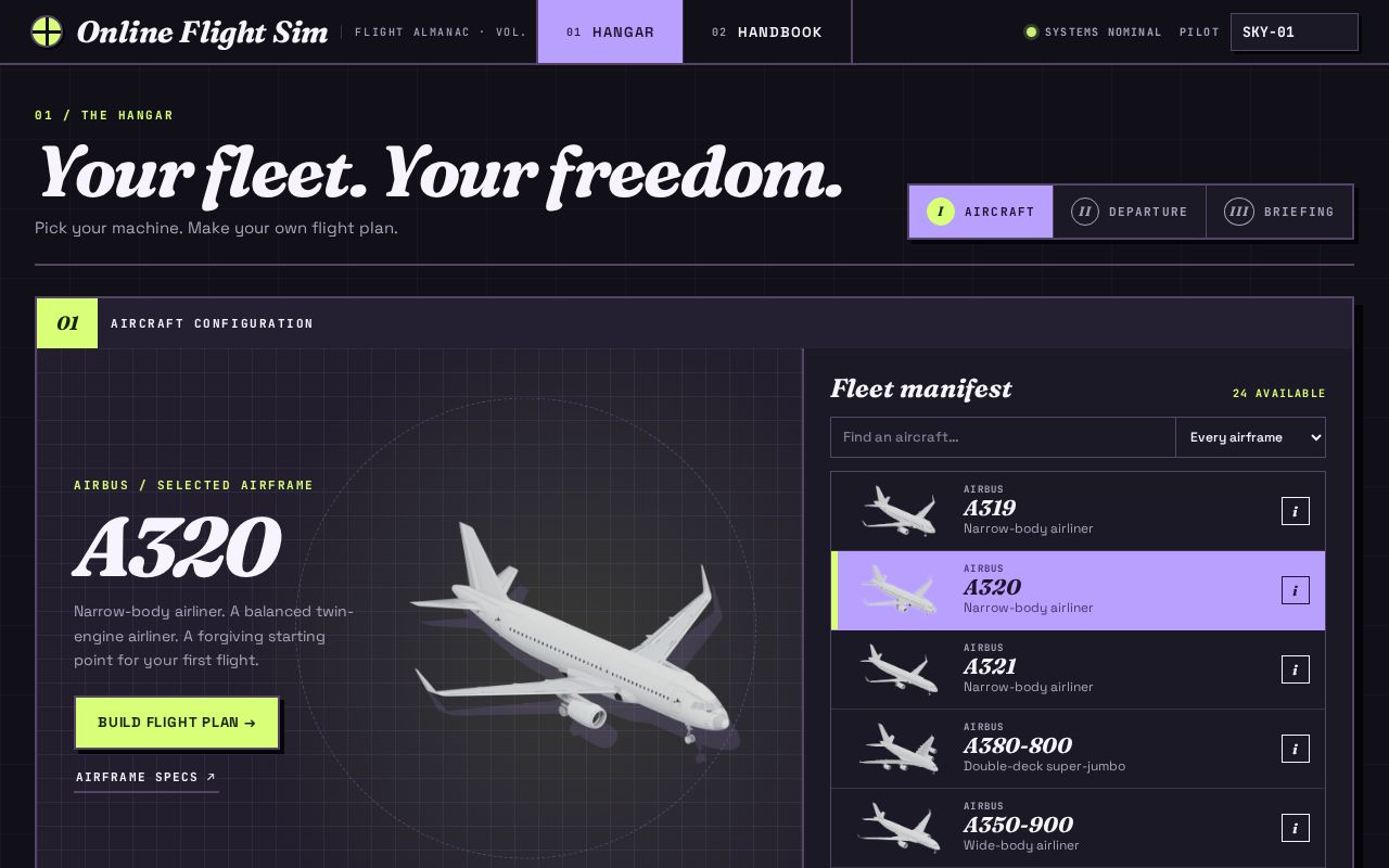 Preview of Online Flight Sim
