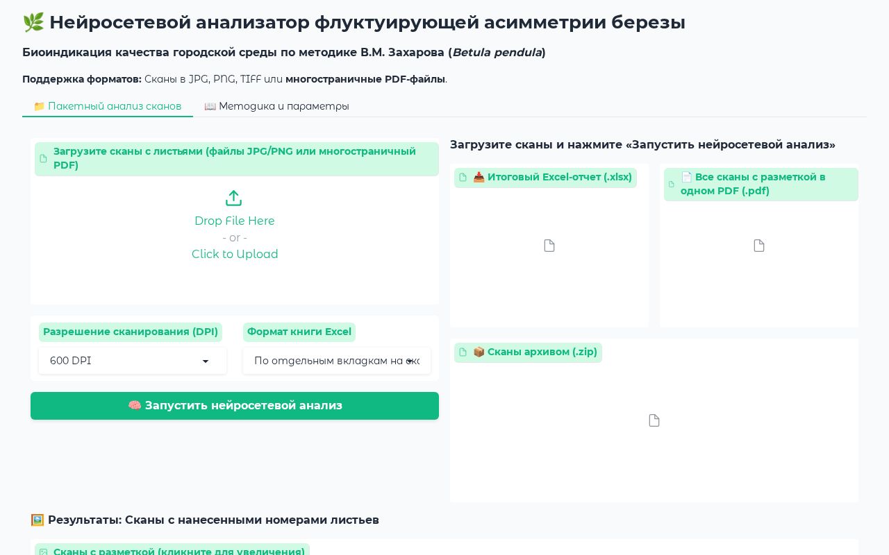 Preview of Birch Leaf Asymmetry Analyzer