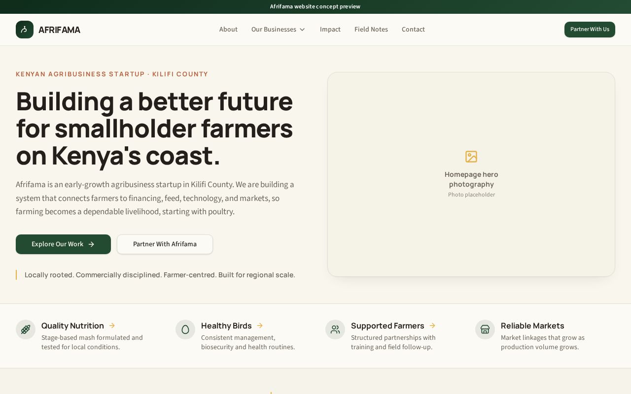 Preview of Afrifama Group Website