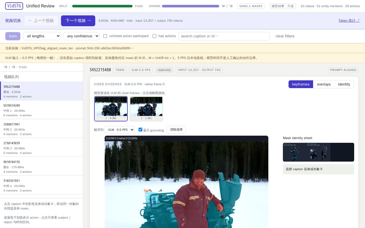 Preview of VidSTG Unified Review · Ten Videos