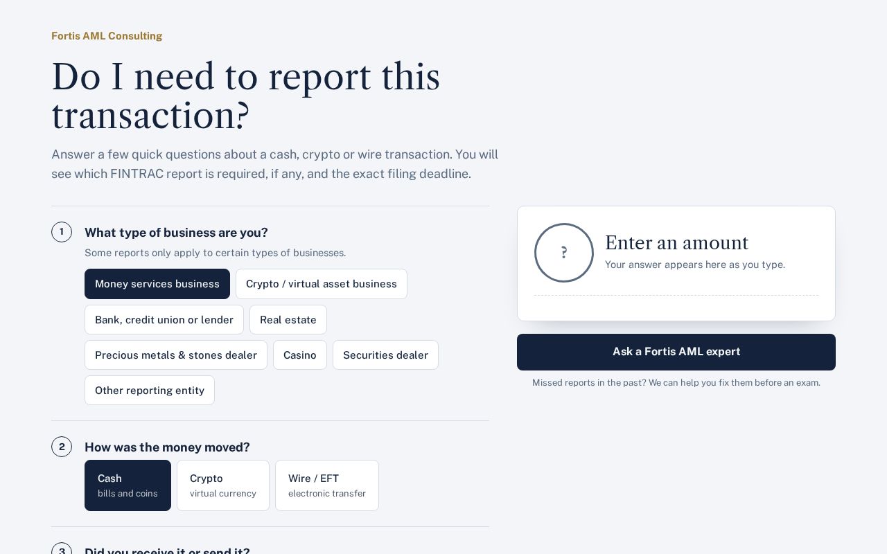 Preview of Fintrac Report Checker