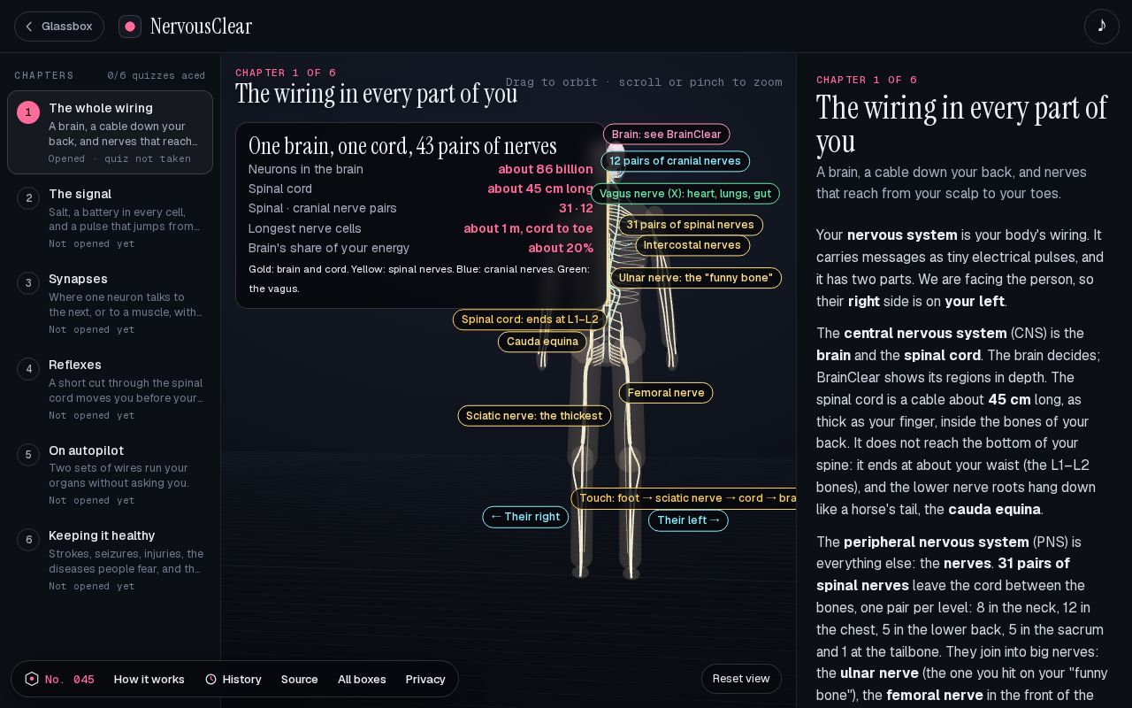 Preview of NervousClear: How does the nervous system work?