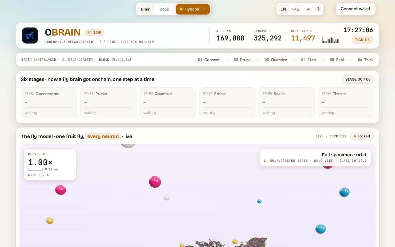 Preview of Obrain