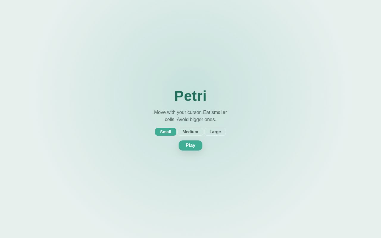 Preview of Project