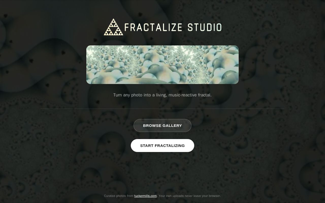 Preview of Public site for Fractalize Studio