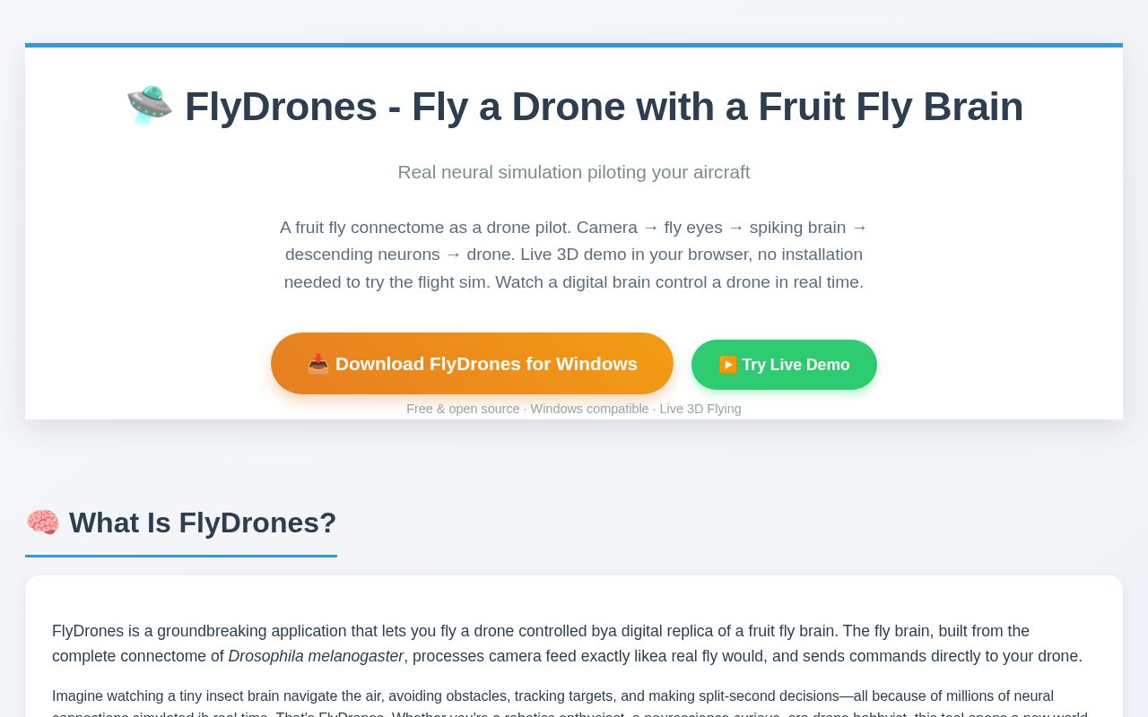 Preview of FlyDrones