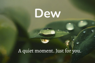 Preview of Dew - AI Meditation That Knows You