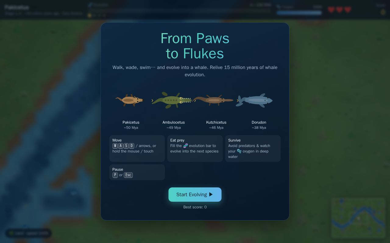 Preview of From Paws to Flukes