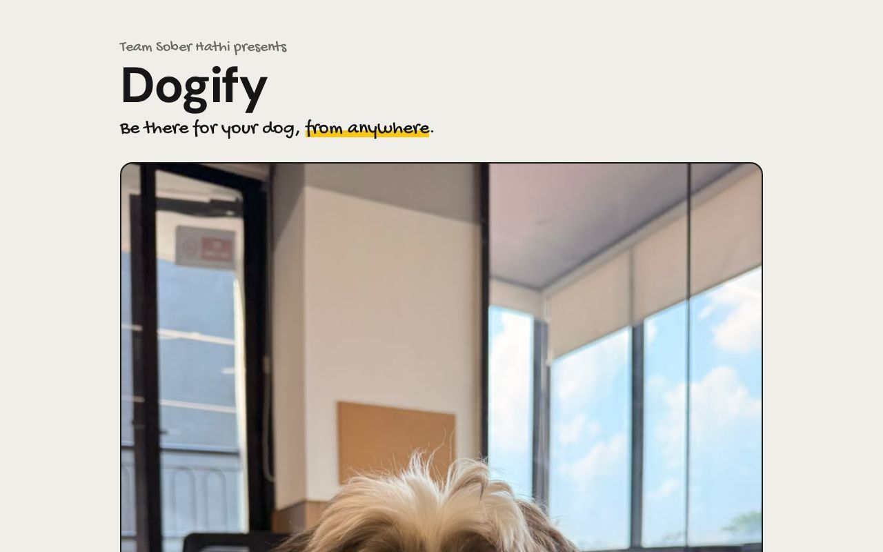 Preview of Dogify
