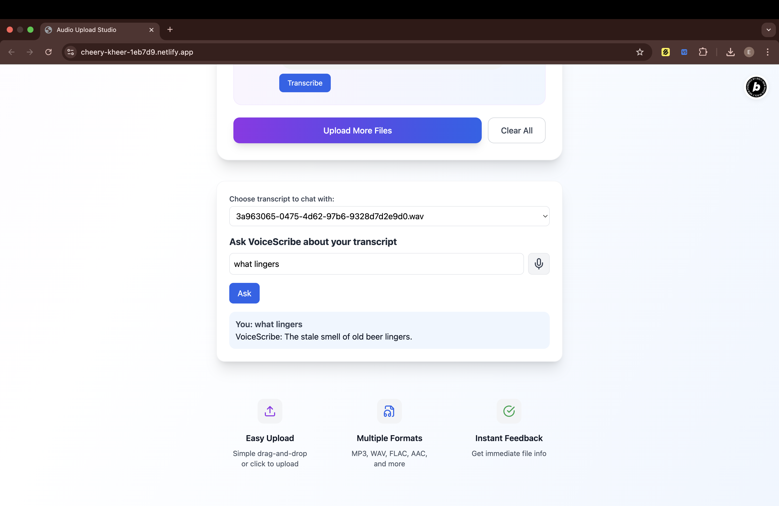 Preview of VoiceScribe