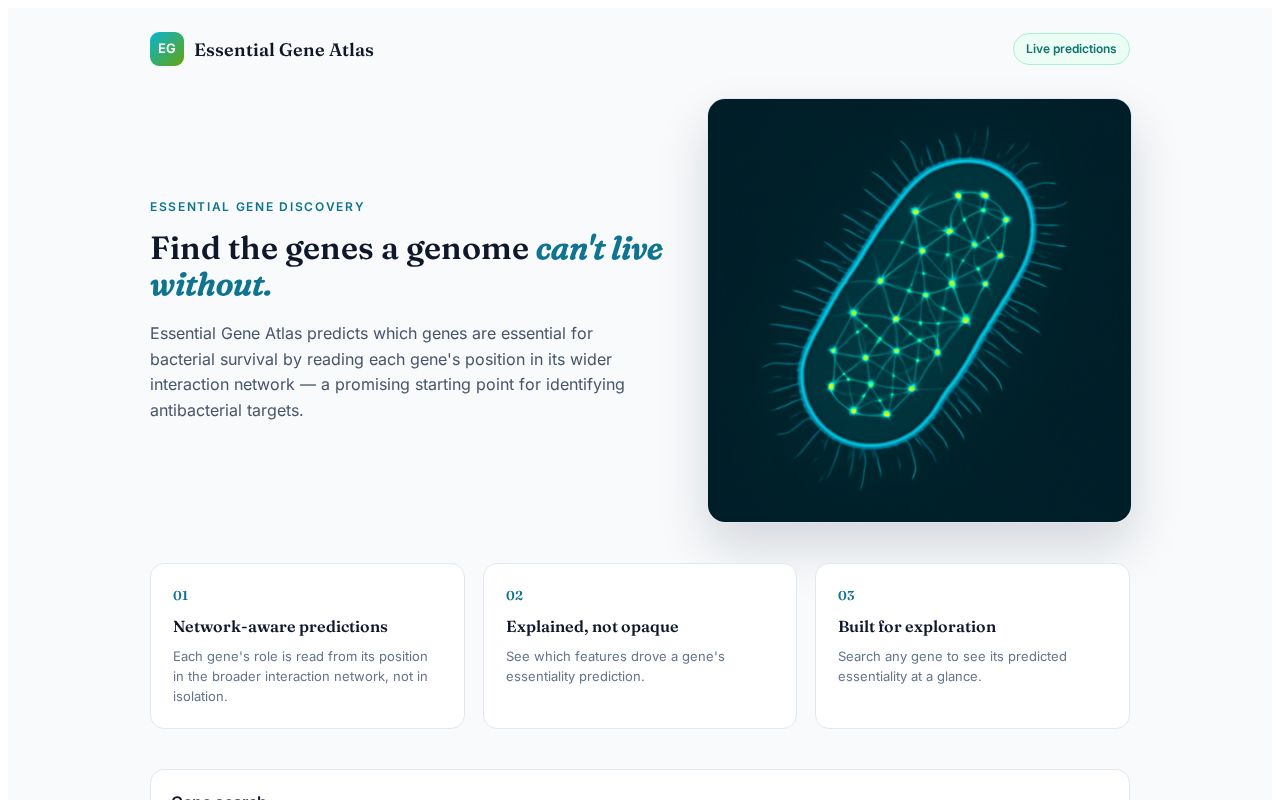 Preview of Genome-context GNN for essential gene / antibacterial target prediction