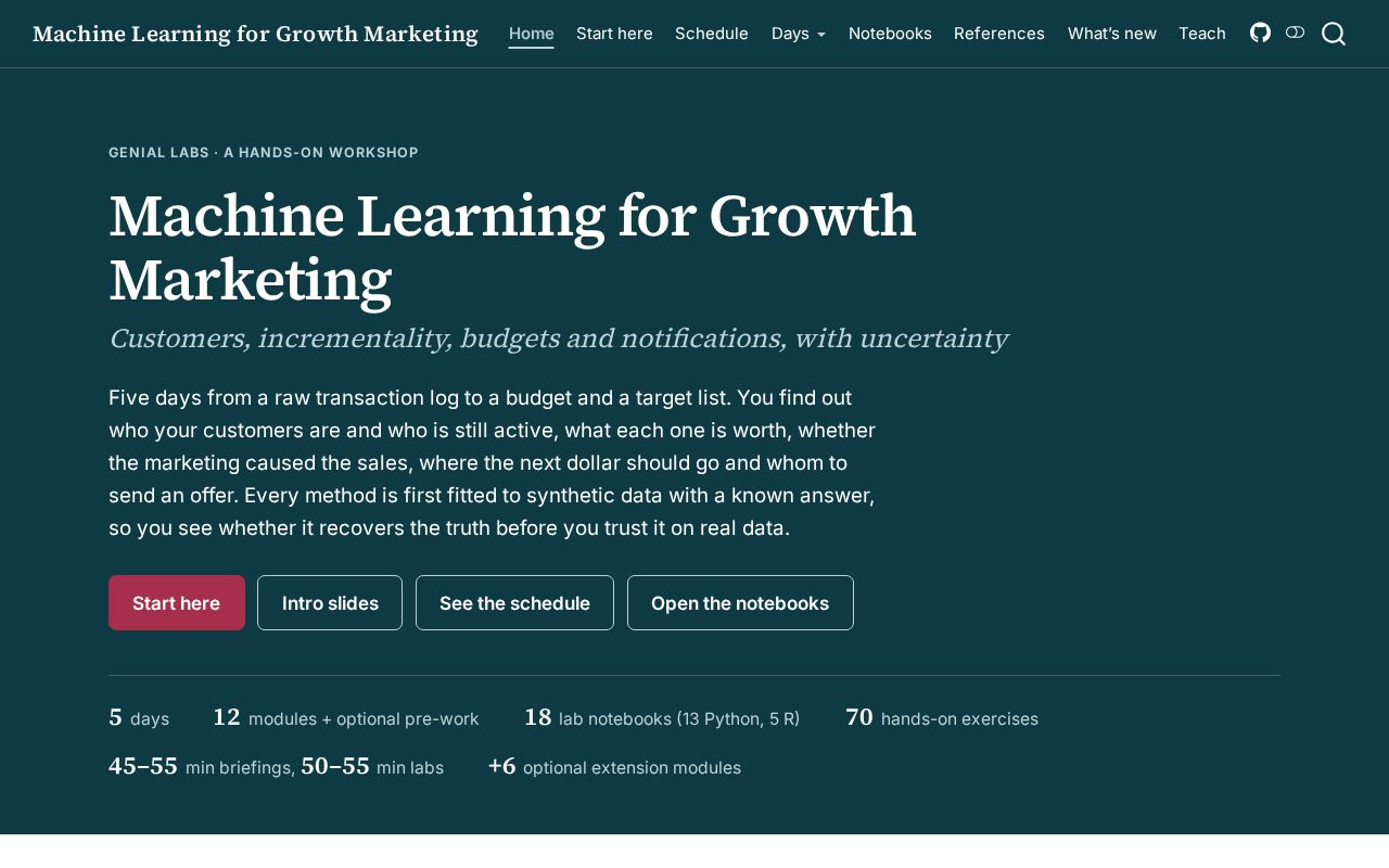 Preview of Ml For Growth Marketing