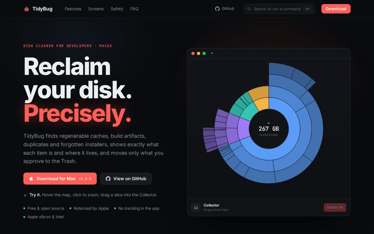 Preview of Tidybug