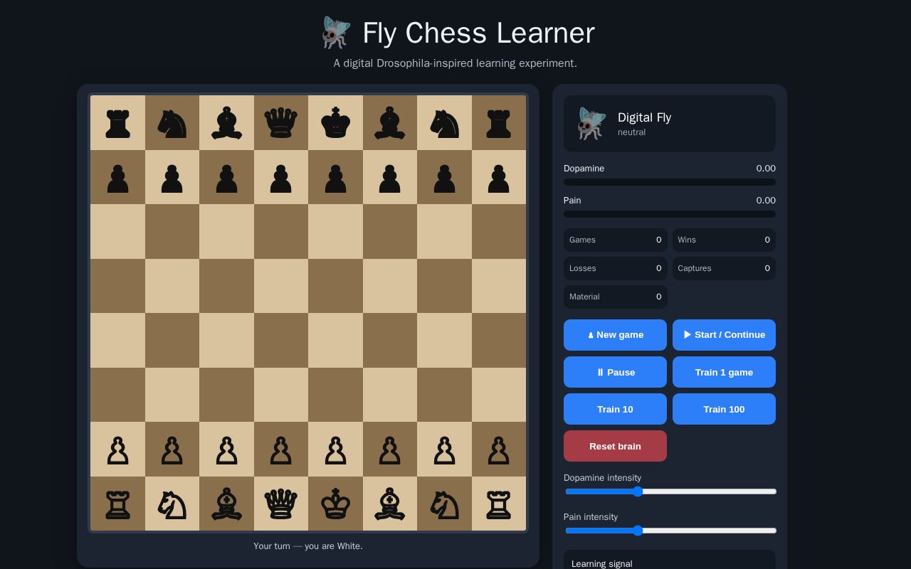 Preview of Drosophila Chess Learner