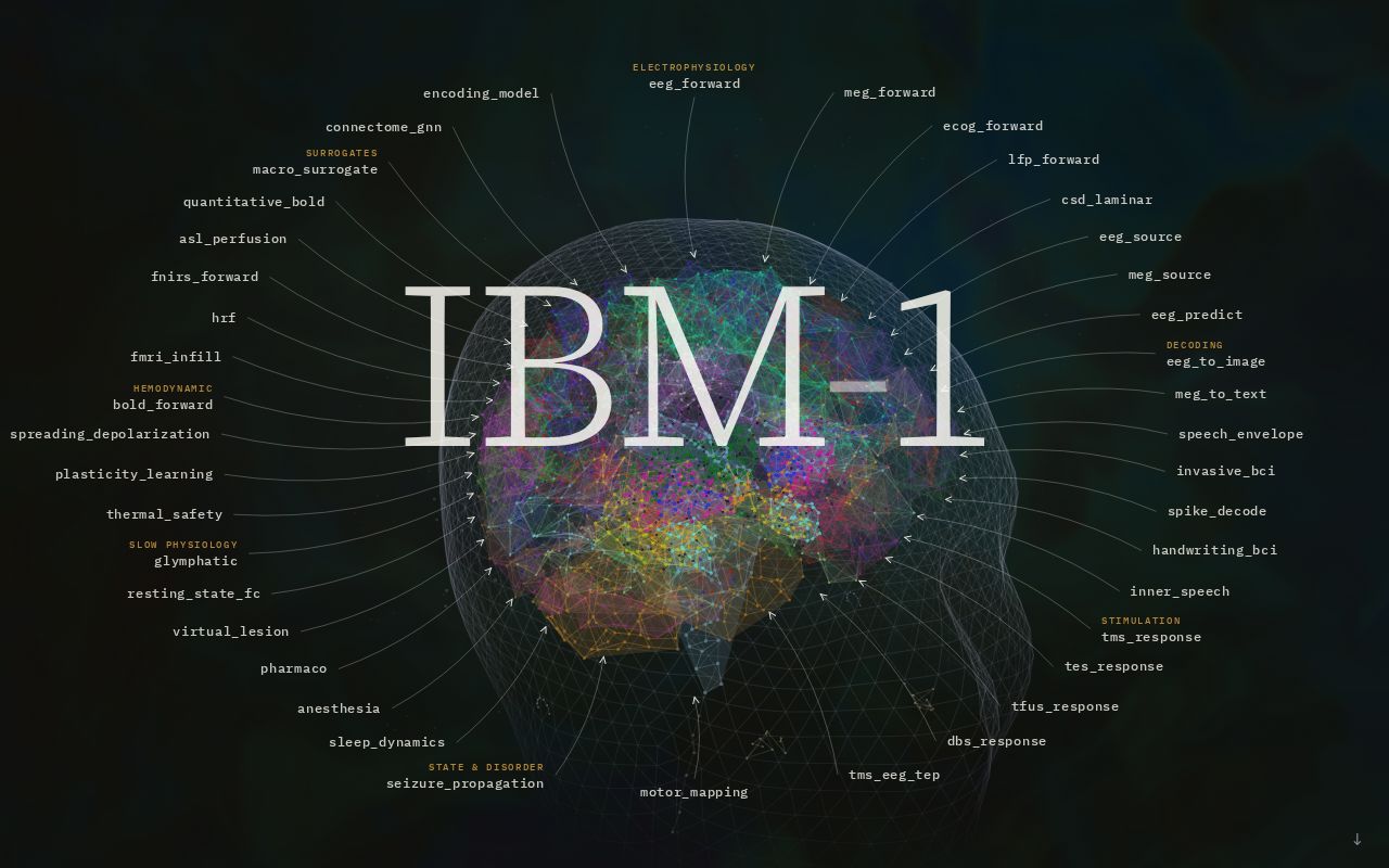 Preview of IBM 1