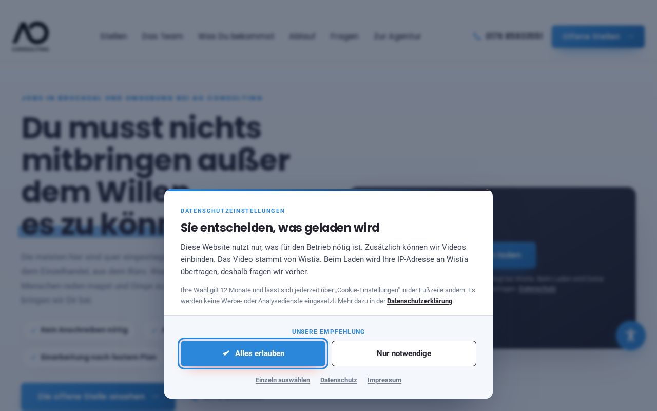 Preview of Ao Karriere Website