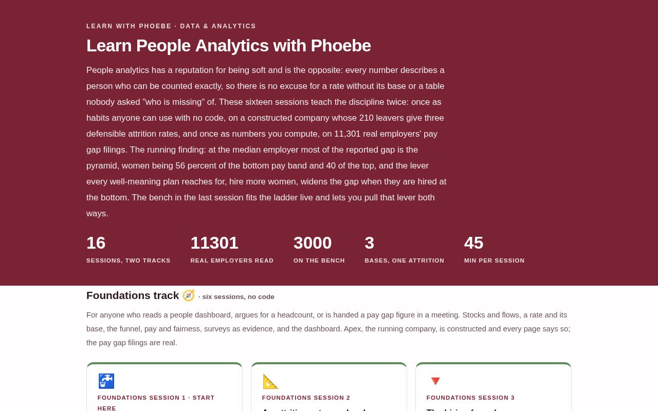 Preview of Learn People Analytics With Phoebe