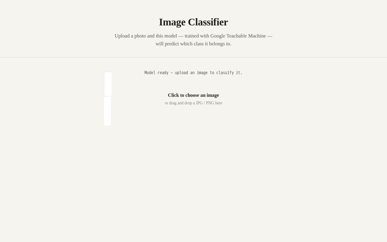 Preview of Image Classifier