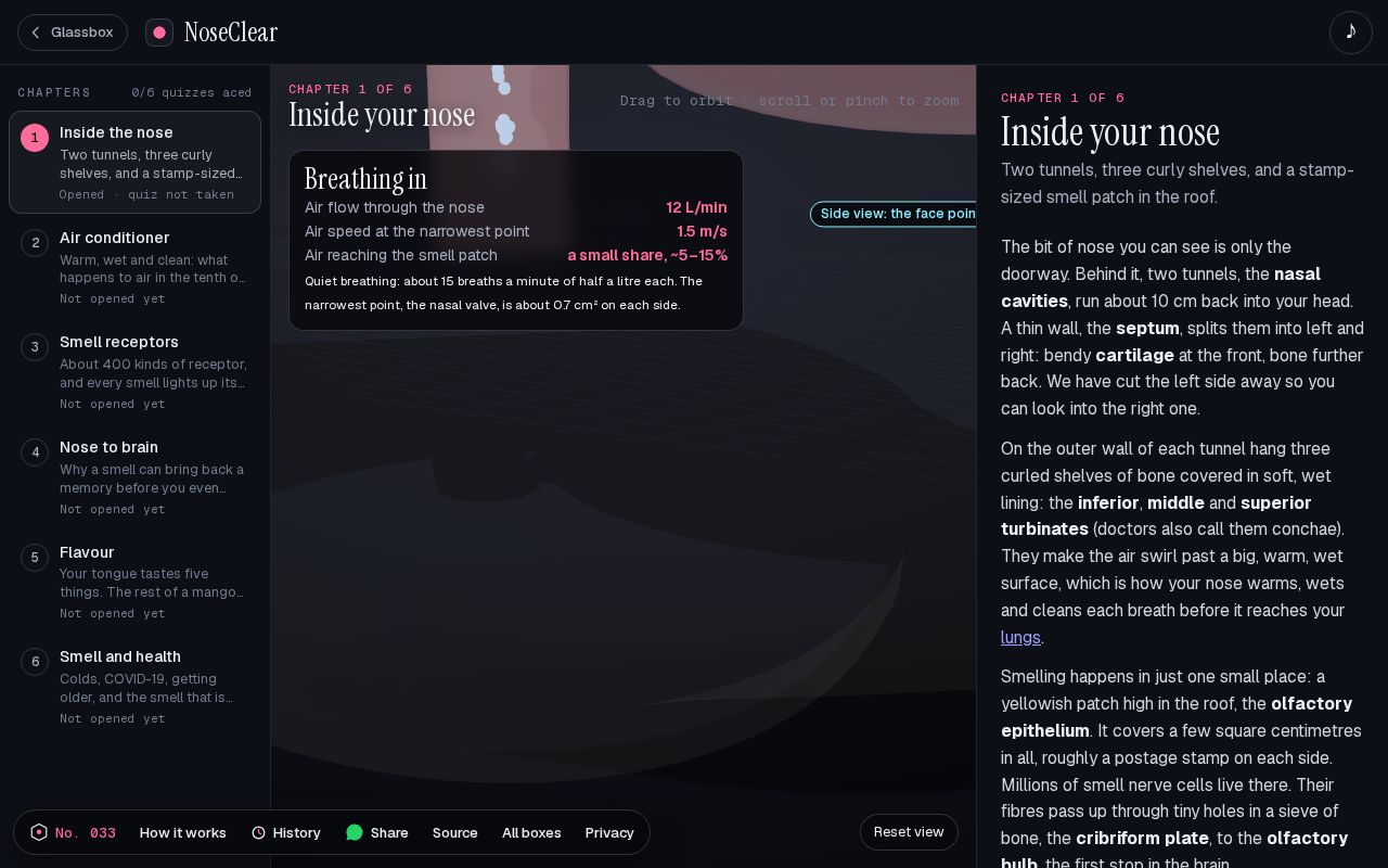 Preview of NoseClear: How does the nose smell?