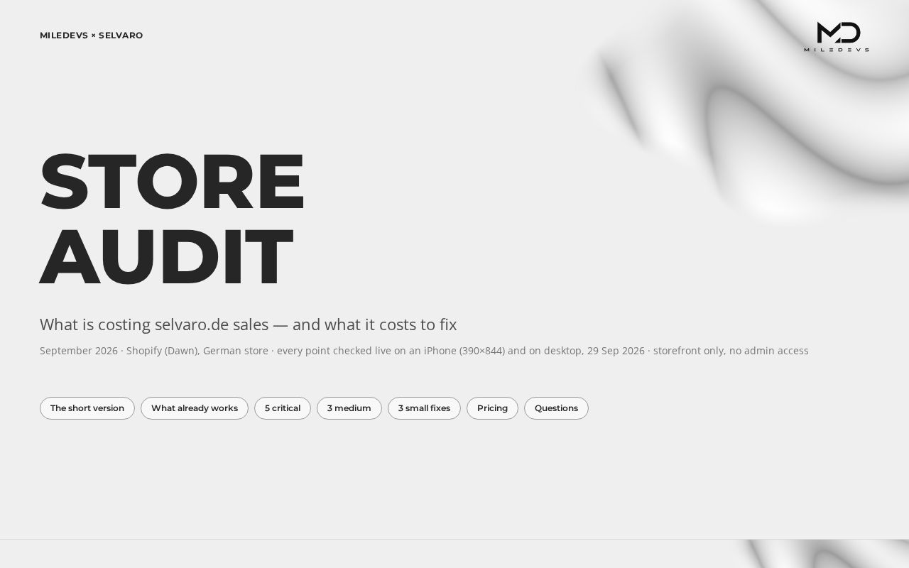 Preview of Selvaro Audit