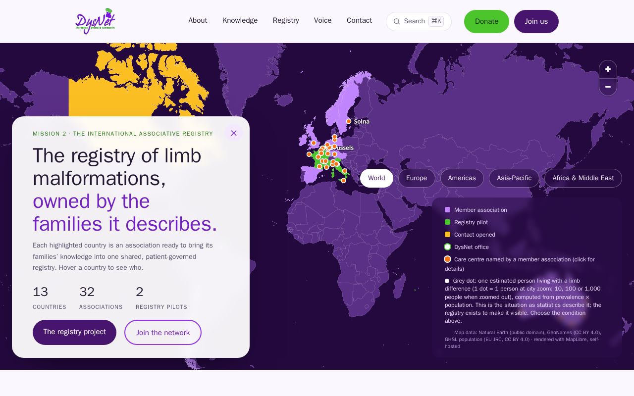 Preview of Dysnet website